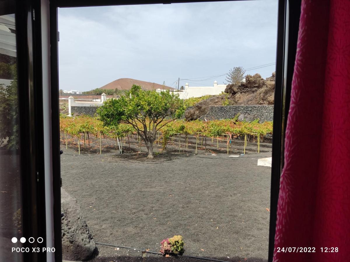 Numero28,Casa Tilama Uga エクステリア 写真